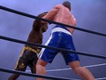Hra Boxerský klub online