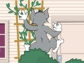 Hra Tom a Jerry: Wasserbomben Wahnsinn  online