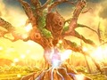 Hra Les zázrakov  online
