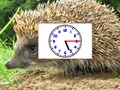 Hra Puzzle Pics Hodiny  online