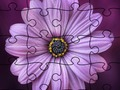 Hra Puzzle Leto  online