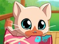 Hra Môj Pocket Pets Kitty Cat  online