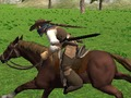 Hra Simulátor jazdy na koni  online