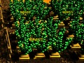 Hra Farma na pixel online