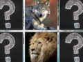 Hra Memory Match Jungle Zvieratá  online