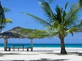 Hra Foto Puzzle  online