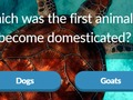 Hra Drobnosti zvierat  online