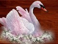 Hra Love Birds Puzzle online