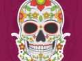 Hra Farebná skladačka Skull  online