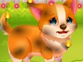 Hra Funny Rescue Pet online