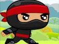 Hra Ninja online