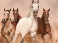 Hra Kone Puzzle  online