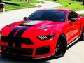 Hra Fancy Mustang Rozdiely  online