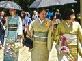 Hra 100 motýľov v Japonsku  online