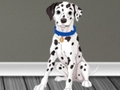 Hra Únik veterinárneho lekára 2  online