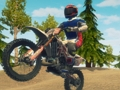 Hra Špinaové bicykle enduro preteky online