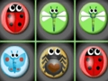 Hra Bug zápas  online