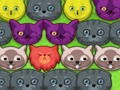 Hra Pop-pop mačičky  online