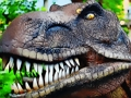 Hra Skladačka Tyrannosaurus Rex Carnivore  online