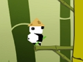 Hra Panda skok  online