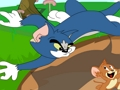 Hra Tom a Jerry v spolupráci  online