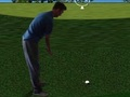 Hra Flash Golf 3D  online