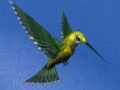 Hra Útek kolibríka  online