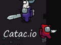 Hra Catac. io  online