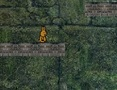 Hra Bunny dobrodružstvo  online