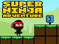 Hra Super dobrodružný ninja  online