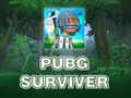 Hra PUBG Survivor  online