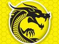 Hra Kung Fu Fury online