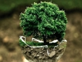 Hra Prostredie Jigsaw  online