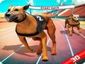Hra Crazy Dog Race online