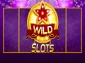 Hra Divoký slot  online