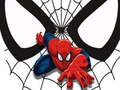 Hra Zápasové karty Spidermana  online