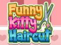 Hra Funny Kitty účes  online