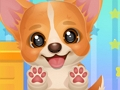 Hra Adoptujte si šteniatko  online