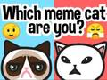 Hra Ktorá meme mačka ste?  online