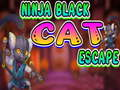 Hra Útek čiernej mačky Ninja  online