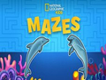 Hra Detské bludiská Nat Geo  online