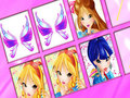 Hra Zhoda s pamäťou Winx online