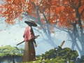 Hra Reflexia samurajov  online