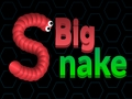Hra Veľký had. io  online