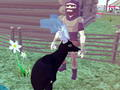 Hra Simulátor jeleňa 3D  online