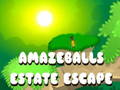 Hra Únik z nehnuteľností Amageballs online