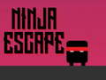 Hra Ninja útek  online