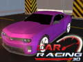 Hra Automobilové preteky 3D  online
