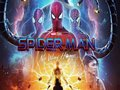 Hra Spider Man: Multivesmír  online