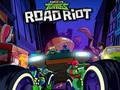 Hra Rise of the Teenage Mutant Ninja Turtles Roy Riot online